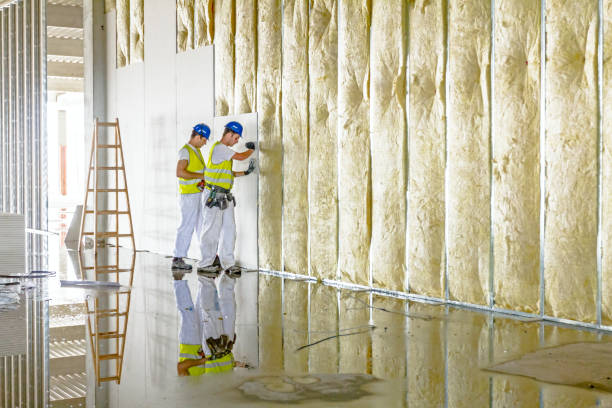 Best Professional Insulation Contractor  in Culver City, CA